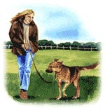 Walk